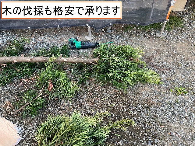南アルプス市　屋根塗装　木を伐採